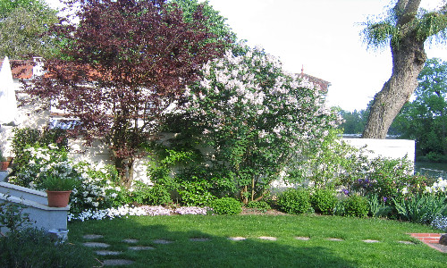 Après 5 ans, évolution du jardin restauré en 2006. - Travaux réalisés